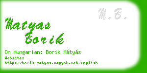 matyas borik business card